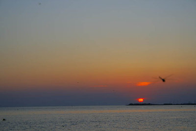iMG_5049.jpg