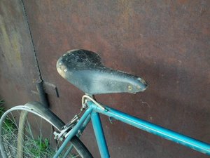 IMAG0142h.jpg
