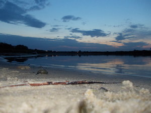 DSCN1385.JPG