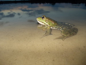 DSCN1389.JPG