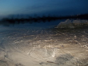 DSCN1391.JPG