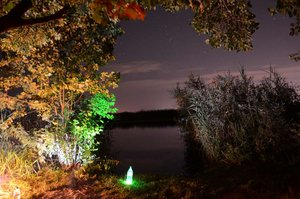DSC_2956.jpg