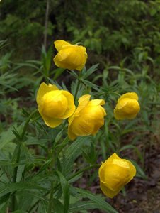 2012-06-21_00045.jpg