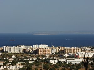 DSC01081_s.JPG