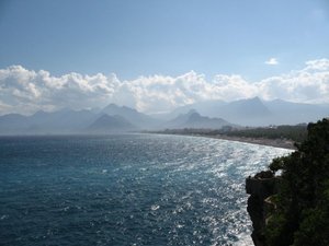 x_24539406.jpg