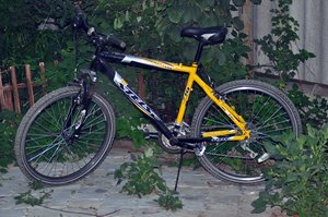 DSC_0216.jpg