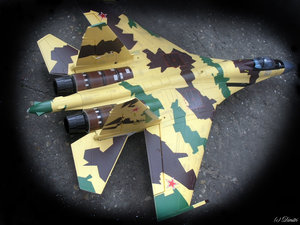 R/C СУ-35
