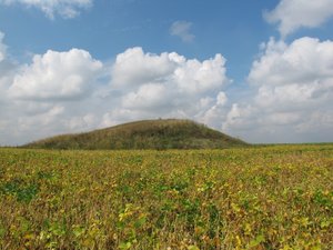 Курган в Тамлыке