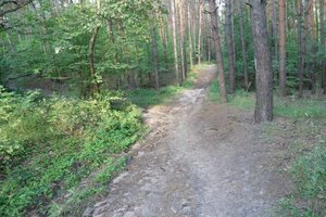 SAM_4347++++++.jpg