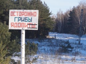 20120205-145201.jpg