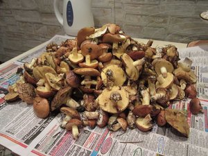 IMG_371600.jpg