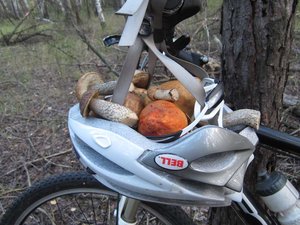 IMG_372288.jpg