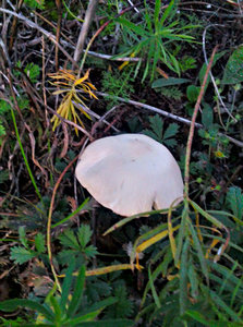 2012-09-05 20.17.49.jpg