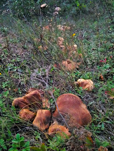 2012-09-05 20.16.45.jpg