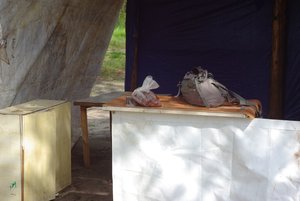 IMGP0100.JPG