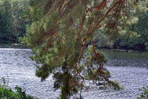 IMGP0114.jpg