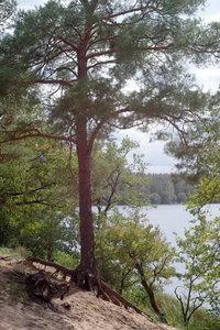 IMGP0117.jpg