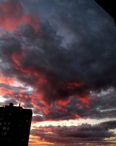 IMG_2492.jpg