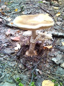SNC00216.jpg