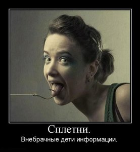 160268_289339.jpg