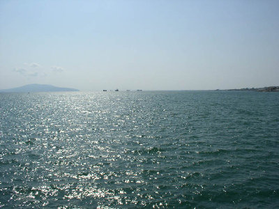 P8310100.jpg