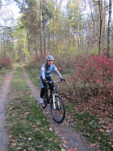 IMG_386600.jpg