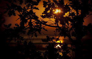 SG201374.jpg
