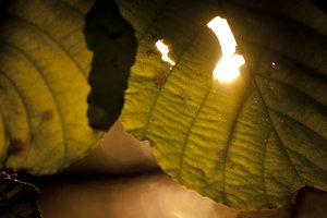 SG201399.jpg
