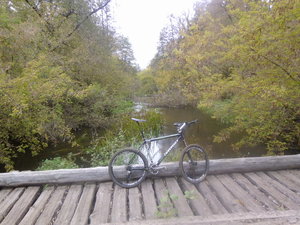 bridge4.jpg