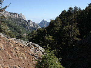 2012_09_28_7001_a.jpg