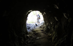 2012_10_05_7341_a.jpg