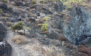 2012_10_05_7370_a.jpg