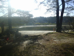 purelake.jpg
