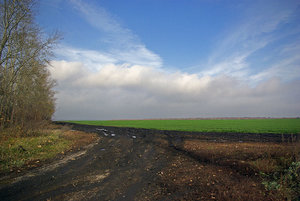 _G102089.jpg