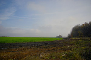 _G102090.jpg