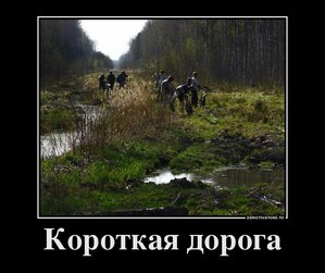 U_Xn8t6n78s.jpg