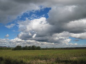 Низкие Питерские облака. В Средней Азии таких не увидеть.