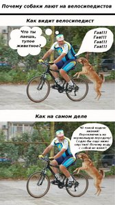 8PkmK5tmcGY.jpg