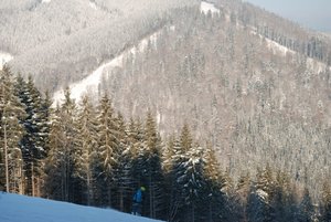 z_2e5e1256.jpg