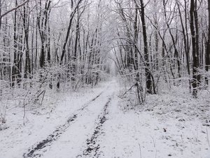 DSC03824_.jpg