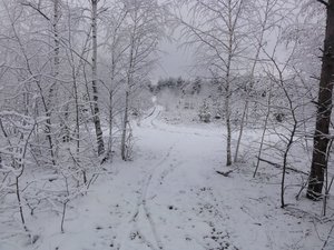 DSC03832_.jpg