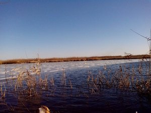 IMG_20121211_143811.jpg