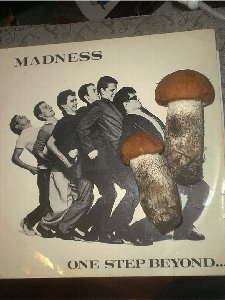 Madness.JPG