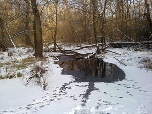 02012013075.jpg