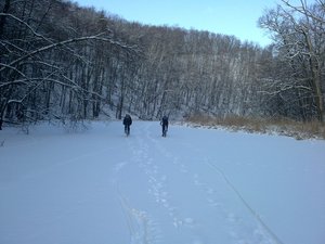 17012013102.jpg