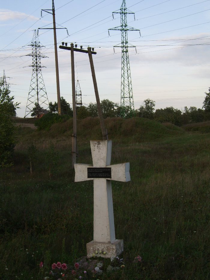 SV100217.JPG