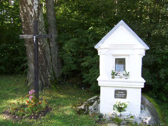 SV100227.JPG