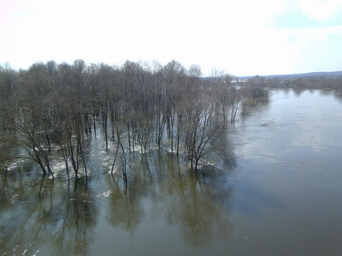 voronezh.jpg
