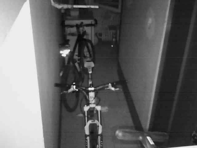20110224_084929_02.jpg