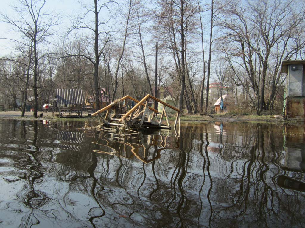 IMG_47642.jpg
